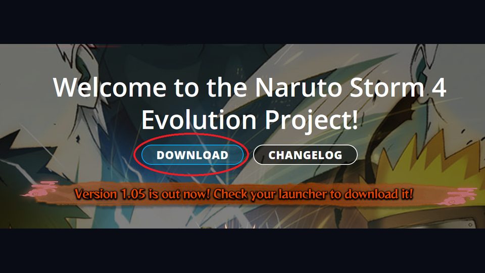 How to install Storm Evolution